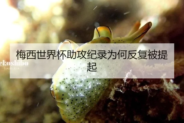 梅西世界杯助攻纪录为何反复被提起