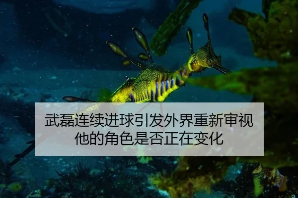 武磊连续进球引发外界重新审视 他的角色是否正在变化